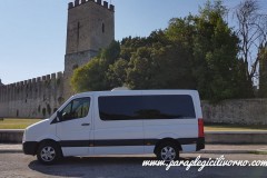 paraplegici-livorno-sprinter-trasporto-disabili-00001