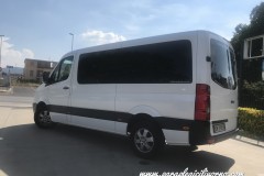 paraplegici-livorno-sprinter-trasporto-disabili-00005