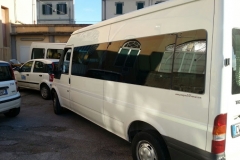 Ford Transit disabili