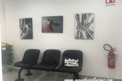 paraplegici-livornoinaugurazione-nuova-sede-00006