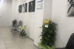 paraplegici-livornoinaugurazione-nuova-sede-00011